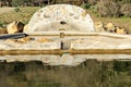 Rural fountain for animals