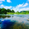 Rural German landscape . River . Forest. Blue sky with white clouds. Sunny day