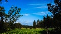 Rural German landscape . Sunny day