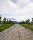 Vertical Image of Rural Gravel Road Lined with Trees Royalty Free Stock Photo