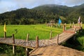 Rural Green rice fields and bamboo bridge in Pai