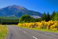 Rural Highway New Zealand Royalty Free Stock Photo