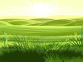 Rural hills. Scenery. Vector. Pasture grass for cows and a place for a vegetable garden and farm. Meadows and trees. Horizon.