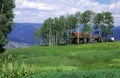 Rural house in an aspen grove in Rocky Mountains