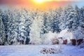 Rural house on the edge of a forest in the snow