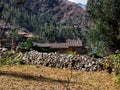 Rural house on the farm.