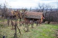 Rural house and farmland countryside landscape