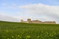 Rural house in fields of green cereals, in a slightly undulating landscape