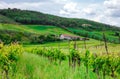 Rural house on the hill among vineyards Royalty Free Stock Photo