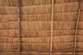 Rural house roof made of cogon grass,thatch roof background Royalty Free Stock Photo