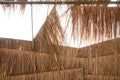 Rural house roof made of cogon grass,thatch roof background Royalty Free Stock Photo