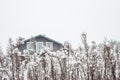 Rural house in snowy meadow. Beautiful winter landscape. Winter holidays concept. Cottage in the snow and frozen forest. Royalty Free Stock Photo