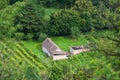Rural house with vineyards on hill Csobanc, Balaton Uplands, Hungary Royalty Free Stock Photo