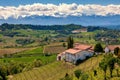 Rural houses on the hill overlooking vineyards in Italy. Royalty Free Stock Photo