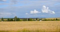 Rural houses surrounded by endless wheat fields, Russia Royalty Free Stock Photo