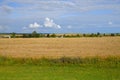 Rural houses surrounded by endless wheat fields, Russia Royalty Free Stock Photo