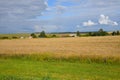 Rural houses surrounded by endless wheat fields, Russia Royalty Free Stock Photo