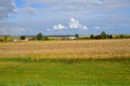 Rural houses surrounded by endless wheat fields, Russia Royalty Free Stock Photo