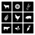 Rural icons set