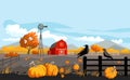 Rural illustration with pumpkins