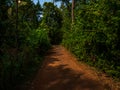 A rural Indian beautiful village red soil path way road Royalty Free Stock Photo