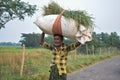 Rural Indian man carrying grass bundle on his head for cattle feed