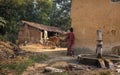 Rural Indian village with cattle, mud houses and muddy village road.