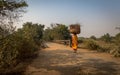 Rural Indian woman carries wood on her head for burning to her village in Bankura.