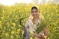 Rural Indian woman harvesting rapeseed in field Royalty Free Stock Photo