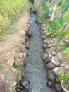 Rural irrigation canals to irrigate rice fields Royalty Free Stock Photo