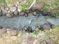 Rural irrigation canals to irrigate rice fields Royalty Free Stock Photo