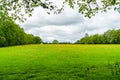 Rural Kent in late spring Royalty Free Stock Photo