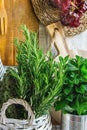 Rural Kitchen Interior White Plank Wood Wall Hanging Cutting Boards Linen Towel Utensils String of Dried Peppers Fresh Herbs