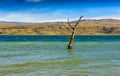 Tree amidst rural lake landscape with reeds, wildlife and with blue skies and clouds Royalty Free Stock Photo