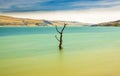 Tree amidst rural lake landscape with reeds, wildlife and with blue skies and clouds Royalty Free Stock Photo