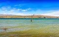 Tree amidst rural lake landscape with reeds, wildlife and with blue skies and clouds Royalty Free Stock Photo