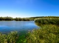 Rural lake landscape with reeds, wildlife and with blue skies and clouds Royalty Free Stock Photo