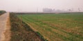 Rural land in india road sky nature smog winter landscape