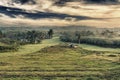 Rural landscape