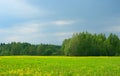 Rural landscape