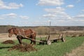 Rural landscape