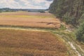 Aerial view of a wheat field near the forest Royalty Free Stock Photo