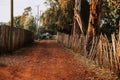 Rural landscape in Africa in Kenya. Rural road with red soil and magic African landscape in the morning
