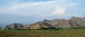 Rural landscape arable plow green field and mountains behind Royalty Free Stock Photo