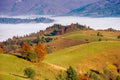 rural landscape in autumn season. foggy valley in morning light. trees in colorful foliage. sunny weather