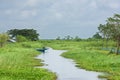 Rural landscape at the Ayeyarwaddy Region in Myanmar Royalty Free Stock Photo