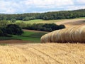 Rural landscape with bales of hay Royalty Free Stock Photo