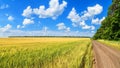 Rural landscape, banner - field of young wheat and country road Royalty Free Stock Photo