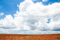 Rural Landscape of Bare Farmland with a Beautiful Sky Above