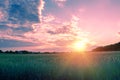 Rural landscape with beautiful gradient evening sky at sunset